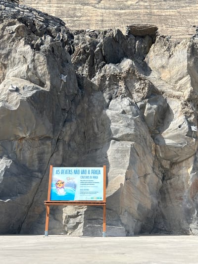 The image shows a sign that reads "AS BEATAS NÃO VÃO À PRAIA" (Cigarette butts don't go to the beach) located in Câmara de Lobos, Portugal. The sign is mounted on a wooden frame and is placed against a rocky cliff. The sign has instructions on how to collect and dispose of cigarette butts in beach ashtrays. The environment is rocky and likely near a beach or coastal area. There is also a concrete wall or structure on one side of the image.