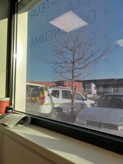The image displays an exterior scene viewed through a window with a fine dot matrix pattern, indicating a screen or privacy film. The perspective is from inside a building, revealing a sun-drenched windowsill in the foreground. On the windowsill, from left to right, are a red-capped white container, a smaller blue container, and a crumpled white paper containing several small, possibly green or grey, capsule-like objects. Strong direct sunlight illuminates the left interior window frame and casts a sharp shadow across the windowsill.
Reflected in the window are reversed partial words, including "TEURS" and "DAMU," suggestive of French text from inside the building, along with a square overhead light fixture.
Beyond the window, under a clear blue sky, a leafless deciduous tree stands centrally. To the left of the tree, a white Dacia Duster SUV is parked, featuring distinct yellow and red chevron-patterned reflective markings on its rear hatch and a partial license plate starting with "EK." A logo is faintly visible on its front door. To the right of the tree, the front of a plain white compact car, resembling a Volkswagen Golf, is parked. Further in the background, a white box truck is partially visible. A red building structure is present in the mid-ground, with a darker, potentially industrial-style building forming the backdrop. The scene is located in Illkirch-Graffenstaden, France. No individuals are visible.