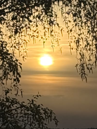 The image captures a bright, circular light source, likely the sun, positioned near the center. The light filters through a layer of clouds or haze, creating a diffused glow. In the foreground, silhouettes of branches and leaves from trees frame the light source on both sides, suggesting a natural setting. The location, Schifflange, Luxembourg, cannot be confirmed or denied based on this image alone.