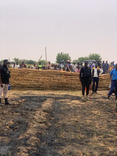 The image shows a scene in Ringimawa, Nigeria (latitude: 11.666, longitude: 8.416). There are several people standing around a large, woven fence made of dry, brown sticks. They are wearing a variety of clothes, including some military uniforms and one individual in a yellow vest. One person stands at the fence while holding a long, orange stick. The ground is covered in dirt, grass and burnt charcoal. The scene is a rural setting with scattered trees and bushes in the distance. The sky is cloudy.