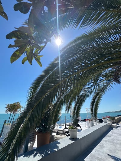 This image depicts an outdoor scene bathed in bright sunlight, suggesting a clear and warm day. The primary subjects are palm tree fronds, which dominate the foreground and midground, obscuring parts of the sky and the scene below. One large palm frond arches from the left side of the frame, with another extending from the top right. Through the fronds, a brilliant sun is visible, casting lens flares and shining brightly against a clear blue sky.

Below the palm fronds, a glimpse of a waterfront setting is visible. There is a gray, weathered surface, possibly a walkway or patio, that runs along the edge. White furniture, including chairs and tables, is arranged on this surface, some with decorative elements like flower arrangements. The furniture appears to be made of white metal and some plastic. Several white planters, some containing greenery, are also placed along the edge.

Beyond the patio area, a body of water, likely the sea, is visible. The water is a bright blue and reflects the sunlight. In the distance, the horizon is barely discernible. The overall impression is one of a relaxed, possibly resort-like environment, situated by the water. The orientation of the image is rotated counterclockwise, with the horizon appearing tilted. The time of day is clearly daytime, given the strong sunlight and bright sky. No people are visible in the frame, and no text is present. The scene evokes a feeling of warmth, sunshine, and vacation.