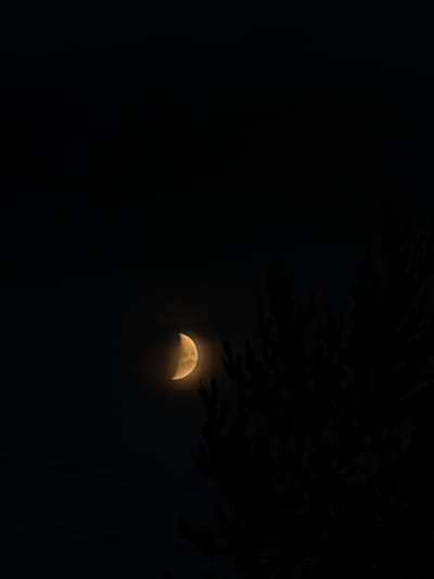 The image shows a crescent moon partially obscured by dark clouds or foliage in the night sky. The moon is a pale yellow and emits a soft glow. In the upper right corner of the image, the silhouette of tree branches is visible, adding depth to the scene. The rest of the image is a deep, dark black, creating a stark contrast with the illuminated moon. The overall mood is serene and mysterious, evoking the quiet beauty of the night. The time of day is clearly nighttime. There is no visible text in the image.
