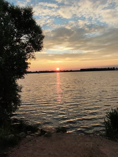 A wide-angle, vertical, eye-level shot captures a serene sunset over a body of water. The sun, a vibrant orange orb, is setting on the horizon, casting a shimmering golden path across the rippling surface of the lake or river. The sky above is a canvas of warm hues, transitioning from pale yellow and orange near the horizon to soft blues and grays higher up, with scattered, wispy clouds.
In the foreground, to the left, a large, dark silhouette of a leafy tree dominates the left side of the frame, its branches reaching towards the sky. The ground in the immediate foreground is a mixture of dark soil and scattered stones, with some patches of green vegetation. To the right, at the water's edge, tall, dark green grass blades are visible.
Across the water, the distant shoreline is lined with a dark, dense strip of trees, and further in the distance, a faint silhouette of buildings can be discerned. A small, dark object, possibly a buoy or a bird, is visible on the water in the middle distance. A larger dark object, likely a boat, is also visible on the water towards the left side of the horizon. The overall atmosphere is peaceful and tranquil, with the natural beauty of the sunset being the focal point. The image appears to be taken from the bank of a river or lake, possibly in or near the city of Selivanovo, Russia, given the typical landscape of such areas during sunset.