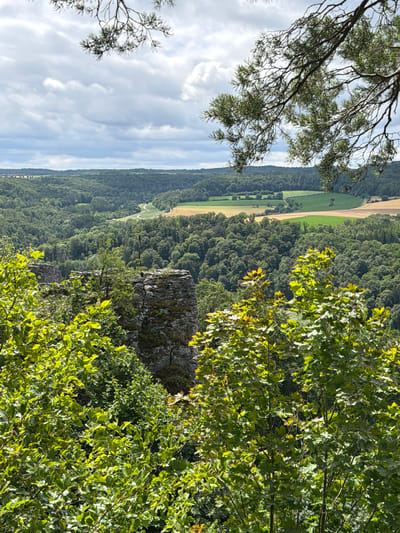 The image depicts a scenic overlook from a rocky outcrop in Heiligenstadt i. OFr., Germany. In the foreground, lush green foliage, likely deciduous trees, fills the bottom of the frame, with a partial view of weathered stone ruins on the left. Beyond the foreground, the landscape unfolds into a vast expanse of dense green forest that blankets rolling hills. In the mid-ground, a winding road is visible, leading through fields of varying shades of green and yellow, suggesting agricultural use. The sky above is partly cloudy, with dramatic grey and white clouds set against a pale blue sky. A pine branch hangs into the frame from the top right, adding a natural framing element to the composition. The scene conveys a sense of natural beauty and historical presence.