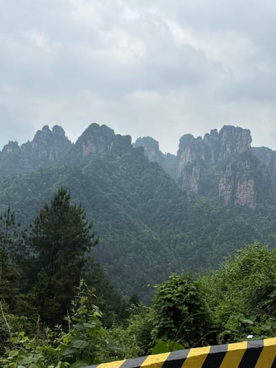 The image shows a mountainous landscape in Zhonghu, China under an overcast sky. The mountains are covered in dense, green vegetation. A black and yellow striped barrier stands to the right. The foreground features a mix of trees and shrubs, while the background shows the rocky peaks of the mountains. The light is diffused due to the cloudy weather.