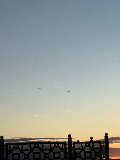 The image depicts a clear sky transitioning from pale blue at the top to a warm yellow-orange near the horizon. Several silhouetted birds are in flight against the sky. In the foreground, a decorative metal railing runs horizontally across the bottom of the frame. This railing is ornate with a repeating geometric pattern of circles and squares, and has decorative finials on its vertical supports. The railing appears to be along a waterfront or elevated walkway. The overall atmosphere suggests an outdoor scene during either sunrise or sunset. The location is identified as the city of Bolgar, Russia.