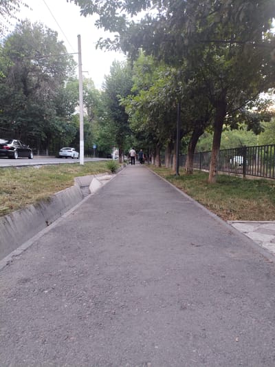 This is a medium-shot, eye-level, vertical photograph of a paved walkway alongside a street lined with trees and a black metal fence. A concrete drainage ditch runs along the left side of the walkway. Two people are walking away from the camera on the walkway, one slightly ahead of the other. They appear to be casually strolling.
In the background, on the street, a black car is parked on the left, and a white car is driving away from the camera on the right. Beyond the street, more trees and buildings are visible. A utility pole stands on the right side of the walkway, with wires extending from it. The weather appears to be overcast, suggesting it might be daytime. The overall mood of the image is peaceful and mundane, depicting a common urban scene. There is no visible text in the image.
