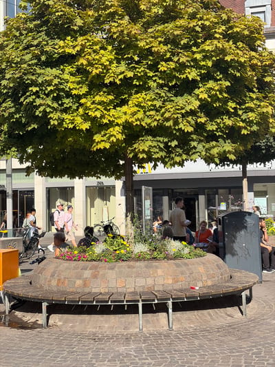 The image captures a street scene in Würzburg, Germany, beneath a large, leafy tree. In the foreground, a circular, stone planter with flowers and vegetation surrounds the base of the tree. A curved wooden bench with metal supports encircles the planter. A red and white cigarette pack rests on the bench.

Several people are visible in the midground and background. To the left, two individuals are walking with a bicycle. Further back, several people are seated on chairs outside a building displaying "ZARA" signage. To the right, a trash receptacle is visible. In the background, another building with "McDonald's" signage is present.

The environment appears to be a public square with a cobblestone pavement. The lighting suggests it is daytime with bright sunlight filtering through the tree canopy.