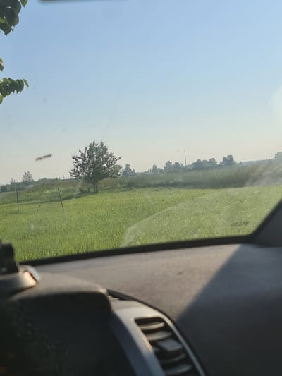 The image is a forward-facing view from inside a vehicle, looking out over a rural landscape. The foreground shows the dark, textured dashboard of the car, with a hint of a vent on the right. Beyond the windshield, a sunlit green field stretches out under a clear, light blue sky. In the middle ground, a lone deciduous tree stands in the field, with a few fence posts visible. The background features a line of trees and some indistinct structures, possibly buildings, under a hazy sky, suggesting a distant settlement. The overall impression is one of a peaceful, sunny day in the countryside, possibly in Maznovadnieki, Latvia.