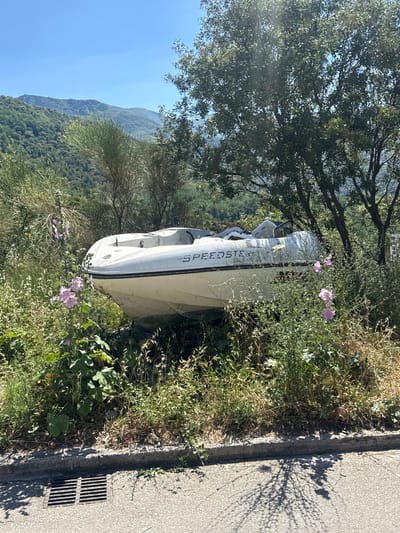 A white boat labeled "SPEEDSTER" rests on land amidst dense green vegetation and some pink flowers, suggesting a rural or overgrown area. The boat appears weathered and possibly abandoned. In the background, lush green hills under a clear blue sky suggest a mountainous landscape, potentially near the town of Ivanovići, Montenegro, given the context provided. The foreground shows a paved road with a metal grate, indicating the presence of infrastructure. The overall scene depicts a static, outdoor environment with a focus on the boat and its natural surroundings.
