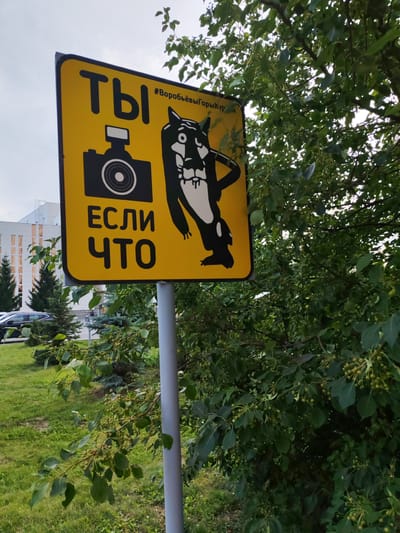 This is a media file capturing a bright yellow square sign with rounded corners, mounted on a grey pole. The sign is adorned with black graphics and text. Dominating the upper left of the sign is the word "Ты" in large, bold black letters. Below it, a black silhouette of a camera with a circular lens is depicted. To the right of the camera, a stylized black and white cartoon character resembling a wolf or dog is shown with its paw raised to its chin in a thoughtful or questioning pose. The character has a stern expression, with sharp teeth bared. In the lower portion of the sign, the words "ЕСЛИ ЧТО" are printed in large, bold black letters, mirroring the style of "Ты".

Above the cartoon character, a hashtag "#ВоробьёвыГорыКур" is visible in smaller black text.

The sign is positioned outdoors, with a backdrop of lush green trees and foliage, partially obscuring the right side of the sign. In the background, a modern building with numerous windows and a sliver of a cloudy sky can be seen. A grassy area and a paved surface with parked cars are also visible to the left of the sign. The presence of foliage suggests it is likely daytime during warmer months. The overall impression is of an outdoor advertisement or informational sign, possibly humorous or cautionary, placed in a public area.