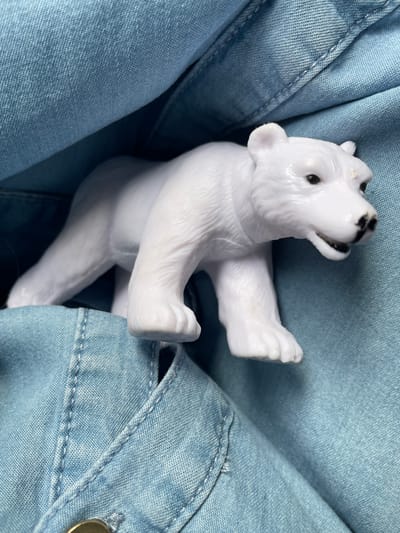 A white polar bear figurine is partially lodged in the pocket of a light blue denim shirt. The bear's head, front paws, and part of its torso are visible. The pocket is buttoned with a gold-colored button. No people or other objects are present. There is no contextual information suggesting this is in Kopeysk, Russia.