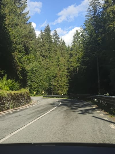 The image depicts a winding asphalt road bordered by a dense forest of pine trees. On the left side of the road, a stone wall lined with green vegetation runs along the embankment. Road signs indicating sharp turns are visible. A metal guardrail separates the road from the drop-off on the right side. The sky above is blue with scattered white clouds. The scene appears to be captured from the perspective of a vehicle moving along the road. This scenery is characteristic of the mountainous region surrounding Borșa, Romania.