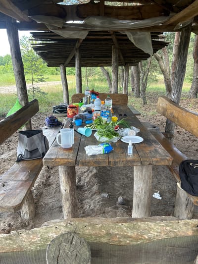 A rustic, wooden picnic table is set up under a wooden shelter with a slatted roof in a wooded area, likely in Chmyrivka, Ukraine. On the table, an assortment of items suggests a recent or ongoing gathering, including several bottles of water and other beverages, a jug of liquid, a small plate with a slice of lemon, a plastic bag of salad or greens, a small bottle of hand sanitizer, and some food items wrapped in plastic. There are also two blue cups, a red tin, a black bag, and a purple hat on the table and benches. The ground around the table is covered in sand and pine needles. The surrounding environment consists of a grove of slender trees and green foliage. The shelter's roof is partially covered with what appears to be translucent plastic sheeting.