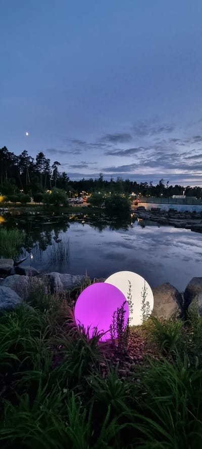 At dusk in Shulgino, Russia, two illuminated spheres, one vibrant purple and the other soft white, rest near the rocky edge of a tranquil pond. The water's surface mirrors the dimming twilight sky, which is adorned with wispy clouds and a crescent moon. Dense trees, characteristic of the local landscape, form a dark silhouette along the far bank of the pond, interspersed with scattered lights from what appears to be a park or recreational area. The foreground is a lush display of dark green grass and foliage, partially obscuring the base of the illuminated spheres.
