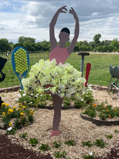 This image, captured in Andrézieux-Bouthéon, France, displays an outdoor art installation within a landscaped garden bed located in a public park. The central subject is a flat, painted wooden cutout of a ballerina figure. The figure has light brown skin, black hair, and wears a pink leotard. Her arms are raised above her head in a ballet pose, and her skirt is densely constructed from numerous white and yellow badminton shuttlecocks, forming a voluminous tutu. Her feet are painted pink.
The ballerina stands in a garden bed primarily covered with light-colored straw mulch, with a distinct section of dark reddish-brown volcanic rock mulch on the far left. The bed features clusters of yellow marigolds, scattered white petunias, and smaller orange flowering plants, along with various green foliage. Dark, curved borders delineate the edges of the garden sections.
To the immediate left of the ballerina, a blue wooden cutout of a tennis racket is visible, its string area completely filled with green tennis balls. Further left, a partially visible black cutout shape is present. Behind and to the right of the ballerina, a dark grey post with a flat, dark circular top stands. To the right of the post, a red paddle-shaped cutout is partially visible. On the far right, a portion of a green object, possibly a planter or bicycle component, with a visible wheel, is situated.
The background consists of a large, mown green grass field, characteristic of a park or sports ground, separated from the foreground by a dark fence. Distant, indistinct human figures are visible walking within the park. A dense line of green trees forms the distant horizon, and on the far right, a volleyball net and posts are faintly discernible. The sky above is overcast with a mix of grey and white clouds.