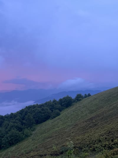 The image depicts a mountain slope in the city of Ust'-Chorna, Ukraine, during twilight. The sky is a gradient of deep blue and soft purple, with scattered clouds tinged with pink. In the distance, layered mountain ranges are visible, shrouded in mist and fog near their bases. The foreground is dominated by a steep, grassy hillside covered in low-lying vegetation. Along the crest of the hill, a dense line of dark green trees stands out. The lighting suggests either sunrise or sunset, with a soft, diffused glow illuminating the landscape. There are no people or animals visible in the scene. The environment is natural and mountainous, with a clear demarcation between the forested ridge and the open slope.