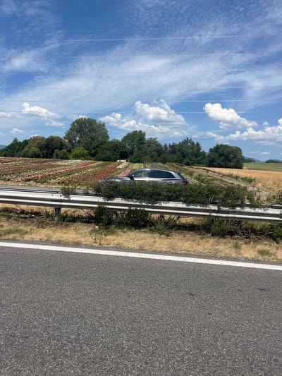 The image depicts a wide, scenic view of a landscape with a road in the foreground. A silver SUV is parked or stopped on the right side of the road, partially obscured by a metal guardrail and overgrown bushes. Beyond the road and guardrail, a vast field of colorful flowers, arranged in neat rows, stretches across the middle ground. The flowers appear to be of various hues, including pink, red, white, and yellow. In the background, a line of trees stands tall, with a few more trees scattered throughout the field. The sky above is a vibrant blue, dotted with fluffy white clouds. The overall impression is one of a rural, possibly agricultural setting, with a hint of natural beauty and tranquility. The location is identified as being in the city of Saint-Prex, Switzerland.