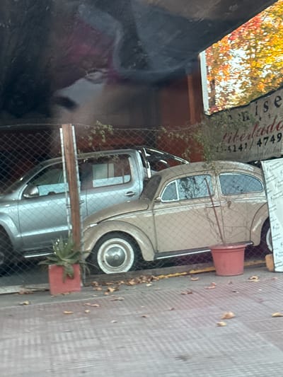 The scene shows two vintage Citroen cars behind a chain-link fence on a street in Tigre, Argentina. The top car is beige, and the lower car is silver. Both cars appear to be partially disassembled. A terracotta pot sits on top of the beige car. A sign reading "libertad" and "4141/4749" is visible. Autumn leaves are scattered on the sidewalk, and trees with fall foliage are visible in the background.