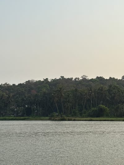 The image shows a body of water next to a tree-covered hill. The water is gray and slightly rippled. The hill is covered in dense trees, including palm trees. The sky is overcast and gray. The image appears to be taken in Salvador du Mundu, India, as specified in the prompt.