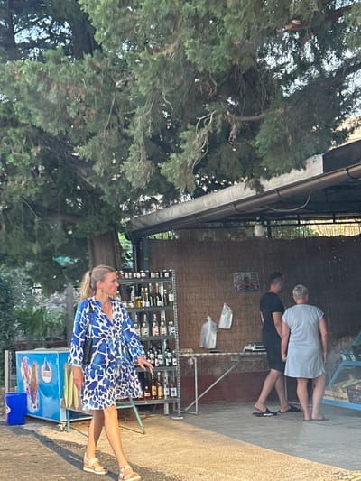 The image captures a sunny day in Prčanj, Montenegro, with lush green trees in the foreground and a building with a corrugated roof and brick wall in the background. The scene appears to be outdoors, possibly a street or market area.
In the mid-ground, a woman in a blue and white patterned dress and sandals is walking, holding a bunch of green vegetables. She has blonde hair tied in a ponytail and is looking to her left. To her right, a blue ice cream freezer with an advertisement featuring ice cream cones is visible.
Further in the background, two people are standing. One person is wearing a light blue t-shirt and the other a black t-shirt. They are facing away from the camera and appear to be engaged in conversation. Behind them, a display rack filled with bottles, possibly wine or spirits, is set up against a brick wall. A sign with red text and images of watermelons is also visible on the wall. Two white bags are placed on the ground near the display. The overall impression is one of a casual, daytime scene in a warm climate.