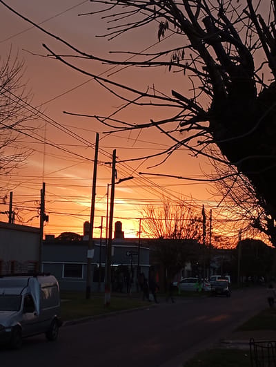 This is a medium-shot photograph of a street in La Plata, Argentina, during sunset. The sky is a vibrant gradient of orange and yellow, with wispy clouds visible. Silhouetted against the sky are the bare branches of trees and a dense network of overhead power lines and utility poles. In the foreground, a silver van is parked on the side of the road, facing left. The street is asphalt, with a patch of green grass on the right side. Several buildings are visible in the mid-ground, including a gray building with a white framed window on the left and a darker building with a sign to the right. A few indistinct figures can be seen walking on the sidewalk in front of the buildings. The overall atmosphere is one of a quiet evening in a residential or commercial area of the city.