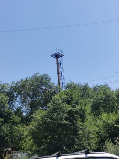 A tall, slender concrete tower with a metal ladder ascending its side and a platform at the top stands amidst a dense canopy of green trees under a clear blue sky. A street lamp is visible in the foreground, partially obscured by the foliage. Two parallel power lines stretch across the upper portion of the sky. The scene is suggestive of an outdoor urban or semi-urban environment, possibly near a park or a residential area in the city of Oskemen, Kazakhstan. No people are present in the image, and no actions or interactions are depicted.