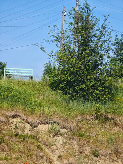 An outdoor scene in Galanino, Russia, under a clear blue sky features a weathered, light green wooden bench on a grassy embankment. The bench, positioned to the left of the frame, faces the viewer. A large, leafy green tree with dark branches is prominently situated in the center and right of the image, partially obscuring power lines and wooden utility poles that crisscross the sky. The foreground consists of a steep, eroded slope covered in dry grass and sparse vegetation. The overall environment suggests a rural or semi-rural setting, possibly a park or a roadside area with overhead utility infrastructure.