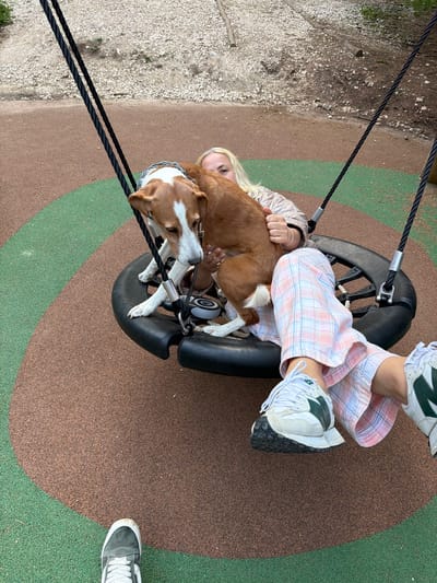 An adult female and a medium-sized dog are positioned on a black circular playground swing in Pitomine, Montenegro. The female, with blonde hair partially visible, wears a light-colored jacket, light pink and blue plaid pants, and white and dark green New Balance sneakers. Her hands are visible, holding the dog. The dog, with brown and white fur, a collar, and an attached leash device, is standing with its front paws on the swing's edge, looking downwards. The ground is a textured granular playground surface, primarily brown with a curving green section. In the background, a light-colored, gravelly terrain with sparse vegetation is visible. A foot wearing a grey and white sneaker is partially visible in the bottom-left foreground.