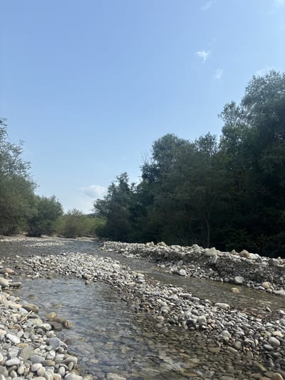 The image depicts a natural scene of a shallow, rocky river flowing through a lush, tree-lined environment under a clear blue sky with a few wispy clouds. The riverbed is covered with a multitude of smooth, rounded stones of varying sizes, creating a textured and natural foreground. The water is clear, allowing the stones beneath to be visible, and it flows gently. Dense green foliage from trees and bushes lines both sides of the river, with the trees forming a thick canopy in the background. The overall impression is one of a serene and untouched natural landscape, typical of a rural or wilderness area, rather than an urban setting within the city of Buriani, Georgia, as no structures or urban elements are present.