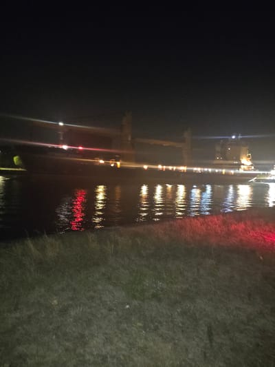 A cargo ship is navigating a dark waterway at night, its lights reflecting on the water. The ship appears to be a bulk carrier with a prominent superstructure. The surrounding environment includes a grassy embankment in the foreground, suggesting a canal or riverbank. The overall scene is illuminated by the ship's own lights and possibly distant city lights. This photograph was taken in Zelzate, Belgium, along the canal.