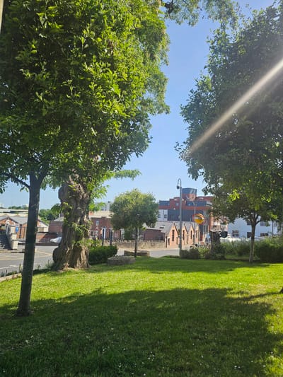 The image depicts a street scene in Bristol, United Kingdom, framed by trees and greenery. In the foreground, large trees with dense foliage line both sides of the frame, creating a natural archway. A patch of well-maintained green grass borders the trees on the right.
Through the trees, a street is visible, lined with buildings of varying heights and architectural styles, primarily brick and modern construction. A street light stands tall amidst the buildings. A street sign is also visible in the background.
The sky is clear and blue, with bright sunlight shining through the tree canopy. The scene appears to be taken during a sunny day.
There are no people directly visible in the frame. The environment suggests a residential or commercial area in the city.