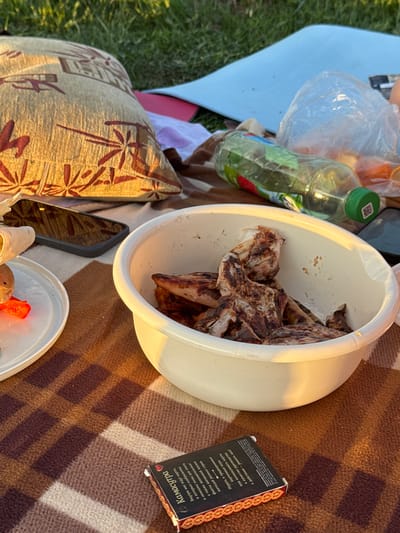 Here is a detailed description of the image:

**Scene:** A picnic on a brown patterned blanket, likely outdoors as grass is visible on the left side of the image. The scene is lit by natural sunlight.

**Objects:**
*   A white plastic bowl filled with pieces of grilled meat.
*   A clear plastic water bottle with a green cap and a label.
*   A clear plastic bag possibly containing food items.
*   A decorative patterned pillow.
*   A smartphone.
*   A small plate containing food (appears to be vegetables).
*   A small cardboard box with the word "Камасутра" printed on it in Russian, likely containing cards or instructions related to sexual positions.

**Description & Interactions**

The arrangement of the objects suggests a picnic setting, with food items and personal belongings spread out on the blanket. The "Камасутра" box adds an element of intrigue or humor to the scene.

**Location:** The image was taken in Етыш, Russia.
