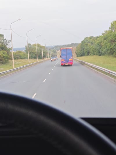 The image depicts a view from inside a vehicle, looking out at a highway. In the foreground, the dark, curved surface of a steering wheel is visible, partially obscuring the view. The highway stretches into the distance, with a blue truck in the middle lane and other vehicles ahead. Streetlights line the right side of the road, and a guardrail runs along the shoulder. Green trees and vegetation border the highway, and the sky is overcast. The scene appears to be a typical highway view in Russia, possibly in or near the village of Nizhnyaya Elyuzan, given the rural setting and typical infrastructure. There are no people visible outside the vehicles.
