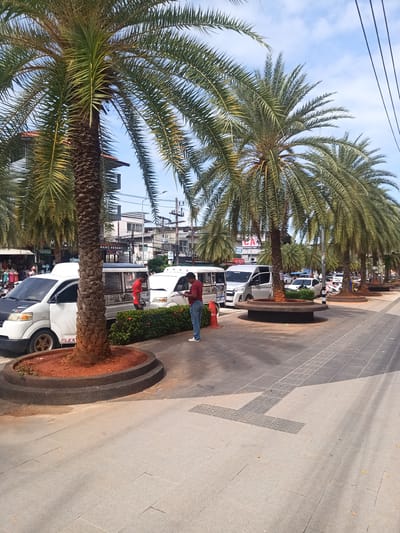 The image shows a street scene in Ban Ao Nang, Thailand, lined with palm trees planted in circular concrete planters. The ground is paved with light gray stones. A man in blue jeans and a red shirt stands near the first tree on the right side of the image, looking at his phone. Another man in a red shirt is near a white van. Several white vans are parked along the street. Buildings are visible in the background. Overhead power lines stretch across the sky. The sky is partially cloudy.