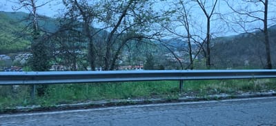 The image presents a landscape view captured from a roadside, looking out over a valley or hillside. A prominent silver metal guardrail runs horizontally across the lower third of the frame, separating the cracked asphalt road, which features a faint white line, from a strip of green grass and weeds growing on the embankment.
Beyond the guardrail, the midground is characterized by a dense scattering of deciduous trees with mostly bare branches, although some show early spring foliage and one prominent tree has patches of ivy. Through the network of branches, numerous houses and buildings, featuring various roof colors including red and dark tones, are visible. These structures suggest a village or small town nestled within the landscape.
In the background, rolling green hills and mountains, covered in dense forest, rise towards a pale, overcast sky. The lighting is subdued and cool, indicative of either dusk or early morning. The overall atmosphere is calm and tranquil, with no specific activity taking place. There is no visible text in the image. The scene depicts a rural mountainous area, identified as Srednogortsi, Bulgaria.