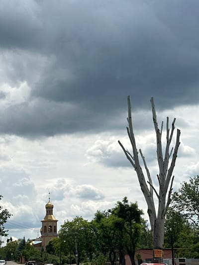 The image captures an outdoor scene with a dramatic sky. The left side of the frame is dominated by dark, ominous storm clouds, while the right side features bright, puffy white clouds against a lighter sky.

In the foreground, a bare tree with pale, white branches extends diagonally across the upper portion of the image. These branches are devoid of leaves, creating a stark contrast with the lush green foliage of other trees visible in the background.

On the right side of the frame, a building with a golden, onion-shaped dome and a bell tower can be seen. This structure appears to be a church or a similar religious building. The surrounding area is filled with green trees and what appears to be a street or road.

A small yellow sign is attached to the trunk of the bare tree. Visible text on this sign includes Cyrillic letters that appear to read "СПИЛ ДЕРЕВА" which translates to "tree felling" or "tree cutting."

The contrast between the dark storm clouds and the bright sky suggests a transition in weather, possibly the approach or departure of a storm. The time of day is unclear, but the lighting indicates it is daytime. The presence of the church and the sign mentioning tree felling provide some context for the location and potential activities occurring.