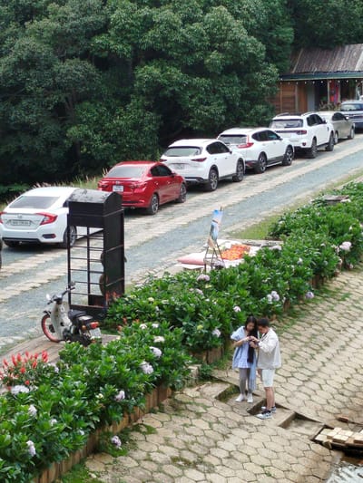 In Cam Ly - Da Lat, Vietnam, an outdoor scene unfolds with a line of parked vehicles on a gravel path adjacent to a wooden building. The vehicles are primarily white SUVs, with one red sedan positioned further down the line. A white hatchback is parked in the foreground on the left. A weathered, dark metal structure, possibly a grill or a large bin, stands near the white hatchback. To the right, a paved pathway with a distinctive hexagonal stone pattern curves away from the viewer, bordered by lush green foliage. A young couple is standing on this pathway, engaged with a mobile device. In the background, dense trees form a natural backdrop, partially obscuring a sloped roof of the wooden building.