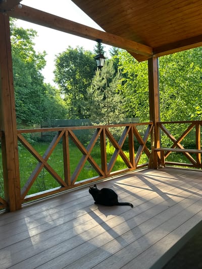 This image depicts a domestic black cat resting on a wooden deck of a covered porch or veranda in Tuchkovo, Russia. The cat is positioned in the lower-middle section of the frame, lying on the deck with its head turned to the right. Sunlight illuminates its back, casting a distinct shadow to its left.

The porch structure features a light brown slatted wooden ceiling and robust dark brown wooden support beams and pillars. A decorative, dark-colored lantern hangs from a beam on the upper right side. The deck flooring consists of light greyish-brown composite planks, which display strong, elongated shadows cast by the railing and overhead structures, indicative of direct sunlight.

A wooden railing with a repeating "X" pattern extends across the mid-ground, separating the deck from the outdoor environment. An integrated wooden bench is visible in the far right corner of the porch, and a straw broom leans against a vertical pillar next to it.

Beyond the railing, a lush green outdoor area is visible, dominated by dense foliage of various trees and bushes, suggesting a natural or garden setting. A light green corrugated metal fence runs horizontally through the middle ground, partially obscured by vegetation. The ground immediately outside the railing is covered in green grass and some taller plant growth. The sky, partially visible through the trees, appears bright and clear. No human figures are present.