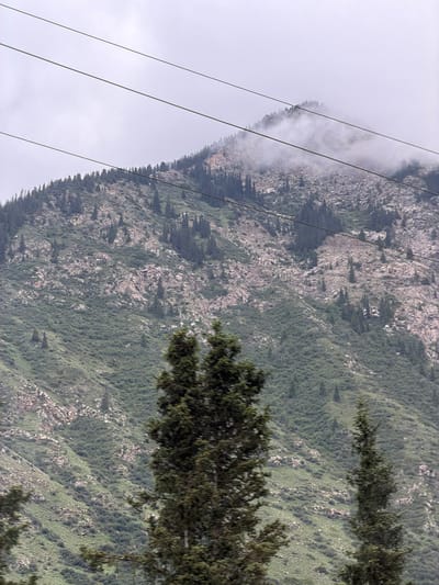 The image depicts a mountainous landscape in Barskoon, Kyrgyzstan, characterized by a steep, rocky slope covered in dense, low-lying vegetation and scattered evergreen trees. Several power lines stretch across the upper portion of the frame, silhouetted against a hazy, overcast sky. The summit of the mountain is partially obscured by clouds and fog, adding a sense of depth and mystery to the scene. The foreground features a cluster of tall, dark green evergreen trees, partially framing the view of the mountainside. The overall impression is one of rugged natural beauty, typical of the mountainous regions of Kyrgyzstan.