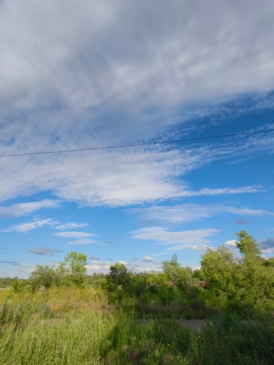 The image depicts a wide, natural landscape under a partly cloudy blue sky, likely captured in Shyroka Dacha, Ukraine. In the foreground, tall green grass and various wildflowers, including yellow ones, create a dense meadow. Beyond the meadow, a line of trees and bushes forms a green horizon. Some of the trees appear to be swaying or bent, suggesting wind activity. A thin, dark wire stretches horizontally across the upper portion of the frame. The sky is a vibrant blue, with scattered white and grey clouds, some elongated and wispy, others more rounded. The overall impression is one of an open, rural environment during daylight hours. There are no people or animals visible in the scene.