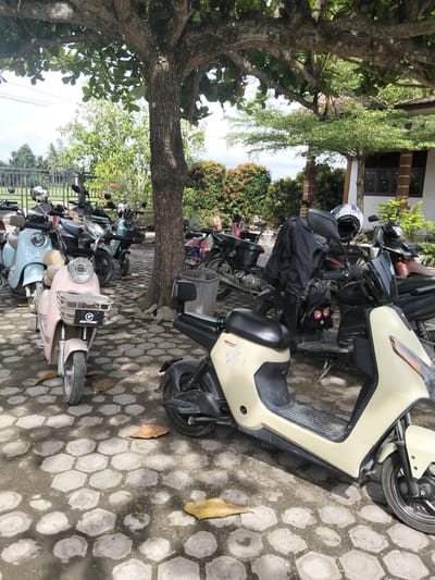 In Keudejungkagajah, Indonesia, a line of parked scooters and motorcycles is visible under the shade of a large tree. The ground is paved with hexagonal concrete tiles, and several dry leaves are scattered across the surface. The scooters are of various colors, including light blue and pink, and some have baskets and reflective surfaces. One black jacket is draped over the handlebars of a motorcycle, and a white helmet with a blue design rests on its seat. In the background, a building with a tiled roof and windows is partially visible, along with dense green foliage and palm trees. The scene appears to be an outdoor parking area, possibly at a business or residence, where these vehicles are stored.