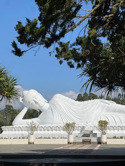 This is a full, eye-level, outdoor shot of a large white reclining Buddha statue in Pupuan, Indonesia. The statue is positioned on a raised platform adorned with decorative patterns. In front of the platform, there are two large white planters with small trees. Directly in front of the statue, a smaller Buddha statue sits on an altar, surrounded by offerings and incense. A sign that reads "HOLY AREA - Area Suci" is visible. The ground in front of the platform is paved with dark stone tiles, with a scattering of pink flower petals on some sections. Trees and greenery are visible in the background, and a bright blue sky with scattered clouds forms the upper portion of the image. Pine tree branches overhang the top of the frame.