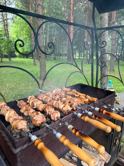 The image captures a close-up of several skewers of meat being grilled over hot coals in a rustic outdoor setting. The meat, interspersed with onion slices, is browning and appears to be cooking slowly, with visible smoke rising from the grill. The skewers themselves have wooden handles, some of which show signs of charring from the heat. The grill itself is a dark, weathered metal structure, placed on what looks like a stone surface.
In the background, a black wrought-iron fence with ornate spiral designs creates a decorative barrier. Beyond the fence, a lush green lawn extends towards a line of tall trees, characteristic of a forest or park. The lighting suggests it is daytime, possibly late afternoon, with soft, diffused light indicating overcast conditions or a shaded area. The overall atmosphere evokes a relaxed, leisurely outdoor meal, perhaps a barbecue or a picnic in a rural or semi-rural environment like Levkovo, Russia. There are no people visible in the frame, focusing entirely on the food preparation and its immediate surroundings. A partially visible plastic bottle and a can are also present near the grill, suggesting a casual gathering.