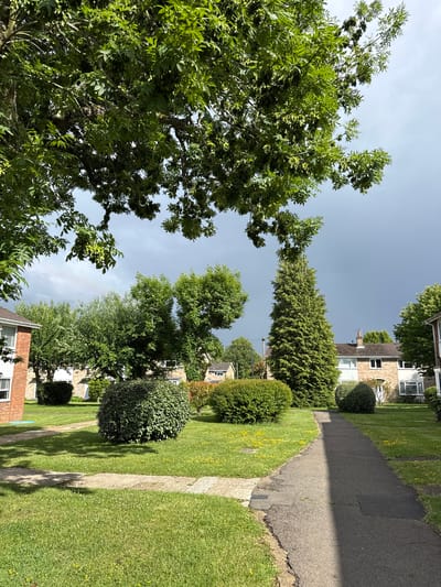 The image depicts a residential street scene in Hazlemere, United Kingdom, characterized by a paved walkway leading through a green lawn bordered by manicured bushes and trees. Houses with pitched roofs and brick facades are visible in the background, some with white window frames. The sky overhead is partly cloudy with a darker, ominous cloud formation in the distance, suggesting potential rain. The foreground is dominated by lush green grass with scattered yellow wildflowers. A large, leafy tree extends from the top left of the frame, its branches casting shadows on the lawn. The overall impression is one of a quiet, suburban neighborhood on a day with changing weather conditions.