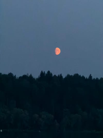 A crescent moon, tinged with orange, hangs in a dusky blue sky above a dark silhouette of trees. The moon is positioned in the upper-middle section of the frame. The trees form a dense, unbroken line across the lower half of the image, obscuring the ground or any other landscape features. The overall mood is serene and tranquil, characteristic of twilight in a natural setting, possibly near the village of Ol'khovskoye in Russia, where such natural scenes are common. There are no people or specific man-made structures visible in the image, only the natural elements of the moon and the forest.
