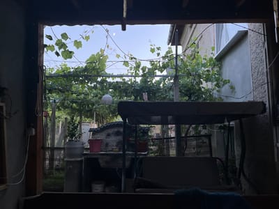 The image depicts a backyard scene in Kalnovo, Bulgaria, viewed from within a covered area. In the foreground, a dark silhouette of a swing set with a canopy is visible, with part of its seat in shadow. Beyond the swing set, a stone outdoor grill or oven structure is present, with a pink bucket and a large gray pot on top. A white paper lantern hangs from a wire above the grill. The background is filled with lush green grapevines, which are trained on trellises, creating a leafy canopy. The sky is a pale blue with a sliver of moon visible. The overall atmosphere suggests a quiet, late afternoon or early evening setting in a rural or suburban environment. The structures visible, like the stone grill and the house in the background, are consistent with residential properties in Bulgaria.