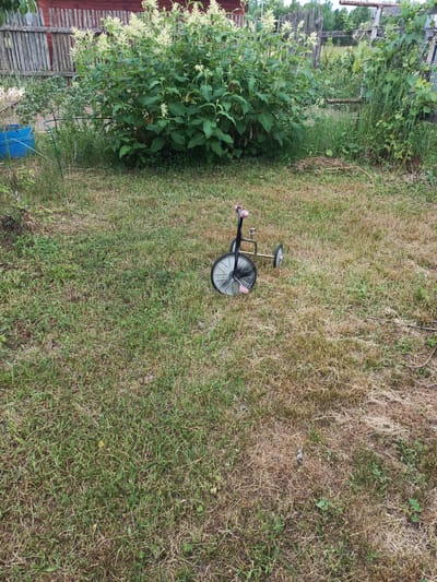 The image depicts a backyard scene in the city of Novoye, Russia, likely during daylight hours. In the center of the frame, a small, red and silver tricycle rests on dry, patchy grass. The tricycle has two large rear wheels and a smaller front wheel. To the left of the tricycle, a large, bushy green plant with white flowers is visible, and behind it, a weathered wooden fence and a red building can be seen. The background consists of more vegetation and trees, suggesting a rural or suburban setting. The overall impression is one of a simple, outdoor living space.