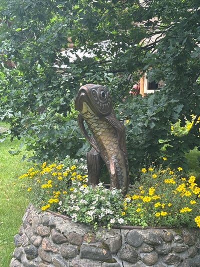 A wooden sculpture of a fish is centrally located in an outdoor setting. The sculpture, which appears to be aged, stands upright and is surrounded by a low, circular stone wall. The wall is filled with a variety of small yellow and white flowers. Behind the sculpture and wall, lush green foliage from trees and bushes dominates the background. Some of the trees have large, lobed leaves. In the upper right portion of the image, glimpses of a building with a red roof and wooden elements are visible through the branches and leaves. The ground is covered in green grass. The scene is set during the daytime, under an overcast sky, as indicated by the diffused lighting and absence of strong shadows. The specific location is identified as Komarovo, Russia, however, no specific landmarks or identifying features of the city are discernible from the image itself. There are no people present in the image.