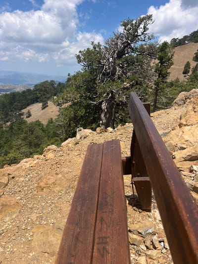 The image depicts a scenic view from a mountainous region, likely the troodos mountains near prodromos, cyprus. In the foreground, a weathered wooden bench with dark wood planks is positioned on a rocky, barren slope. The bench faces away from the viewer, towards a vast expanse of rolling hills and distant mountains, softened by a hazy, blue atmosphere. A large, ancient, gnarled pine tree with sparse green foliage dominates the midground, its twisted branches reaching towards a bright blue sky dotted with fluffy white clouds. The surrounding terrain is a mix of rocky soil and scattered green coniferous trees, suggesting a high-altitude environment. The ground is covered with small stones and larger rocks. A rustic wooden railing extends from the right side of the bench, partially obscuring the view. The overall impression is one of natural beauty and rugged wilderness.